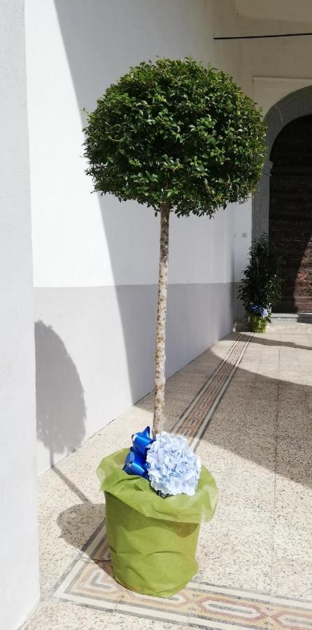 Residenza Santa Valeria Hotel Caglio ภายนอก รูปภาพ
